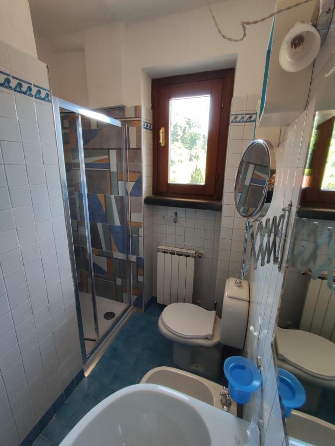 Villa Torrone Camaiore Exteriér fotografie